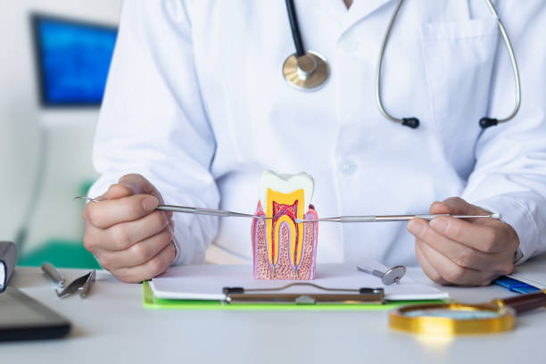 Best Weekend Emergency Dentist in Pantops, VA